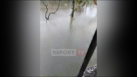 Durrës/Përmbyten banesat në zonën e ish Kënetës, denoncimi i qytetarit: Nuk dalim dot nga shtëpia, s'na është përgjigjur ende askush për ndihmë