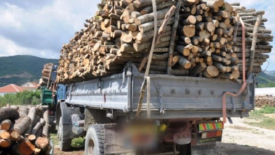 Berat/ Transportonte lëndë drusore të prera në mënyrë të paligjshme, procedohet një 35-vjeçar