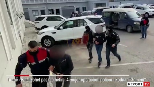 Kultivonin kanabis në Zall Herr, zbatohen14 masa sigurie për të arrestuarit (VIDEO)