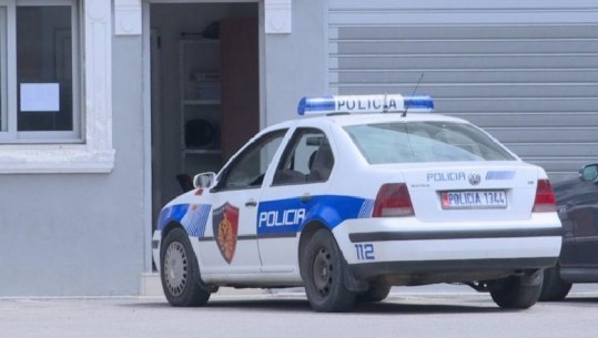 Favorizonin bizneset në fushën e druve për prerje të paligjshme dhe i informonin për kontrollet e policisë/ Arrestohen 5 efektivë të Maliqit, 2 pezullohen nga detyra (EMRAT)