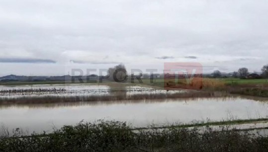 Përmbytjet në fshatin Murqinë, Fushë-Krujë, situata e njëjtë! Banori: Nuk na kanë dëmshpërblyer kurrë për dëmet