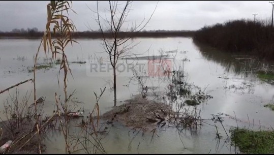 Reshjet e shiut, përmirësim i situatës në disa qytete! Rrëshqitje dherash në Lezhë, evakuohen disa familje! Në Shkodër, disa akse ende të bllokuara