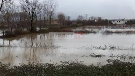 Fushë Krujë, 20 banesa të rrethuara nga uji në fshatin Murqine (VIDEO)