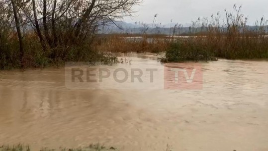 Dalja nga shtrati e lumit Shkumbin/ Nën ujë disa parcela tokë bujqësore në fshatin Papër (Video)