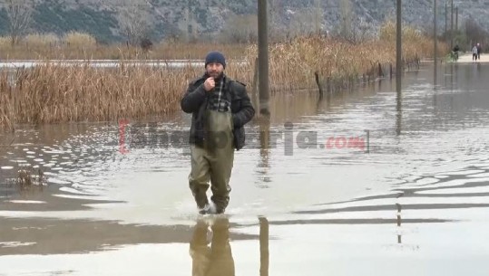 2685 hektarë të përmbytura në Bashkinë e Shkodrës, 250 banesa të rrethuara nga ujë! Ademi këmbëngul: Të shpallet gjendja e fatkeqësisë natyrore