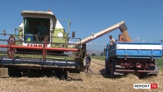 Më 15 janar hapet aplikimi për naftë pa taksa për fermerët! Afati deri në 25 shkurt, kush abuzon do përjashtohen nga skema 3 vjet 