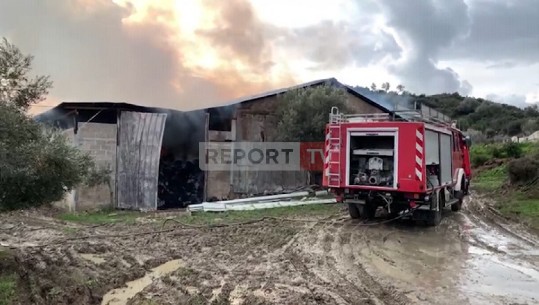 Sarandë/ Zjarr në një stan, digjen 350 dele dhe produkte ushqimore! Pronari:  Nuk kam konflikte me njeri, dëmi është i madh (VIDEO)