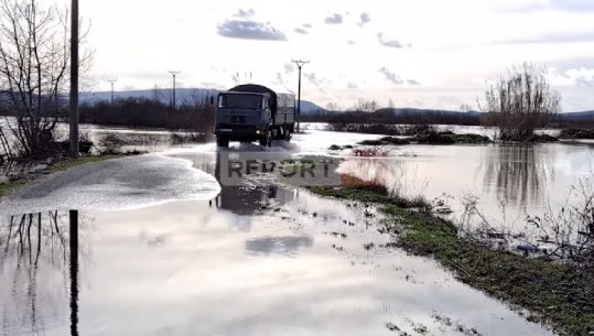 Shkodër/2065 hektarë tokë nën ujë, kërkohet varka të ushtrisë për të kaluar në Obot dhe ushqim për bagëtinë