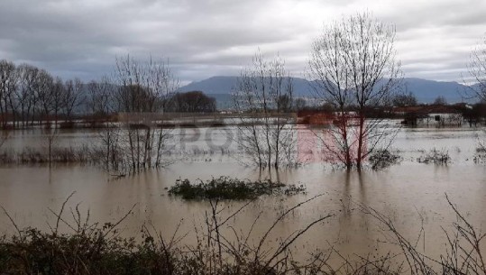 Fushë Krujë/Ishmi del nga shtrati, 50 banesa të rrethuara nga uji! Përmbyten 5000 ha tokë bujqësore