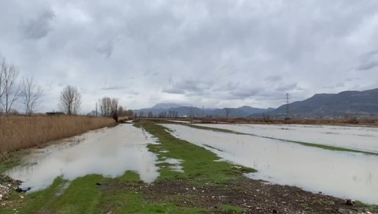 Fermerët e Lezhës: Na kërkojnë taksën e tokës për naftën pa akcizë! Fillimisht të na sigurojnë që s'do përmbyten më (VIDEO)