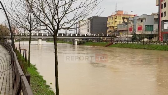 Moti i keq/ 300 hektarë tokë bujqësore të përmbytura në Torovicë