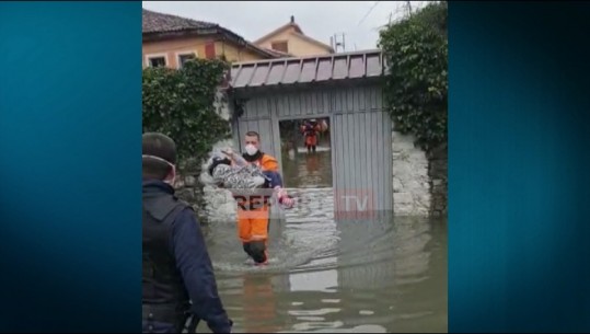 Përmbytjet/ Uji deri në gju në disa familje në Shkodër, ky është momenti kur nxirren në krahë nga shtëpitë (VIDEO)