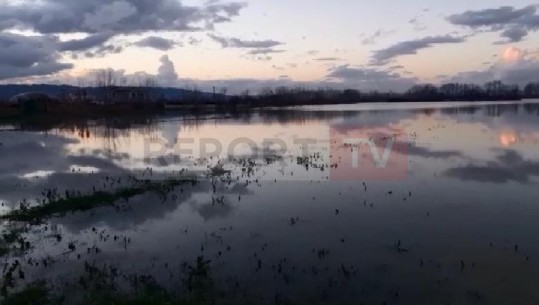 Përmbytje në Shijak, prezencë uji në disa banesa! Në Fushë-Krujë, lumi Ishëm del nga shtrati! Disa zonë në Berat e Kuçovë nën ujë