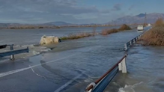 5370 hektarë tokë nën ‘pushtetin’ e ujit në Shkodër, dhjetra banesa të përmbytura 