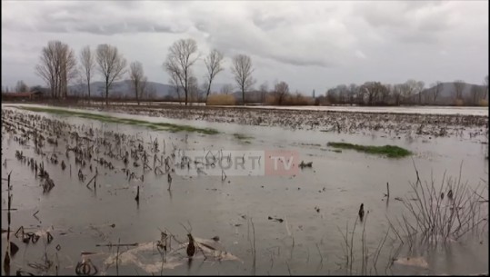 Lumi Vjosa 8 metra mbi nivelin e detit, bie niveli në Memaliaj e Tepelenë! 500 ha tokë nën ujë në Novoselë! 12 familje të evakuara