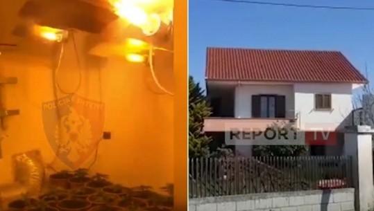 Kishin kthyer shtëpinë në laborator kanabisi, arrestohen tre persona në Lushnje, një në kërkim! Në pranga pas disa muajsh hetime (VIDEO)