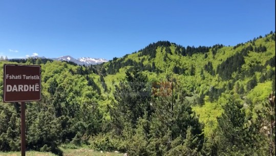 Dardha, atraksion edhe gjatë stinës së verës! Amerikani braktis vendin e tij për të jetuar në Korçë: Ështe një nga fshatrat më të bukur të zonës