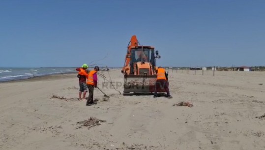 Pak ditë nga çelja e sezonit turistik, nis pastrimi i plazhit të Darëzezë dhe Semanit (VIDEO)