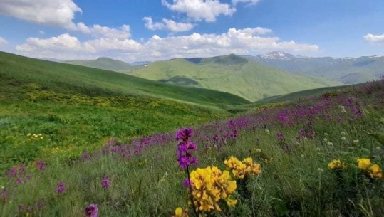 Shtegu i Ngjyrave në Kukës, destinacioni i ri i ‘të marrosurve’ pas natyrës! Peizazh mahnitës dhe hapësira pafund