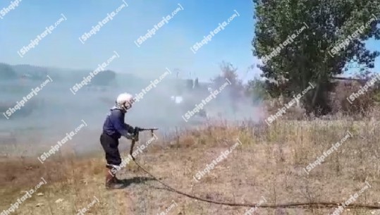 I vihet flaka një sipërfaqe me shkurre pranë burgut të Fushë-Krujës, banorët: Nuk është hera e parë, s’merret asnjë masë