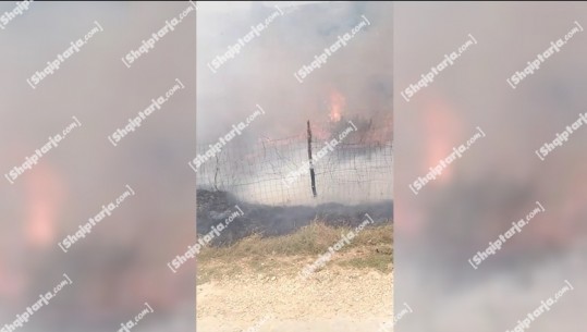 Përfshihet nga zjarri një sipërfaqe me pemë frutore e shkurre në Borizanë të Krujës, në afërsi të vatrës disa banesa