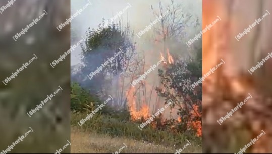 Përfshihen në flakë sipërfaqe me shkurre në Kurbin! Digjet 1 stan në Gjirokastër, shpëtojnë 2 të tjerë! Disa të shoqëruar