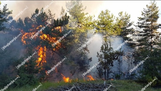 Maja e Jankës në Vithkuq të Korçës 'në pushtetin' e flakëve prej më shumë se 3 ditësh! Në terren 20 forca të ushtrisë dhe 1 zjarrfikëse 