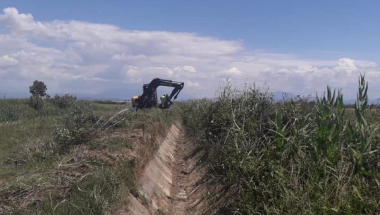 Arrestimet në bashki/ Përplasjet për paratë e kanaleve në Lushnje, një prej tenderave u bllokua nga KPP dy herë! Një tjetër 1.2 mln euro për shtrim tubash