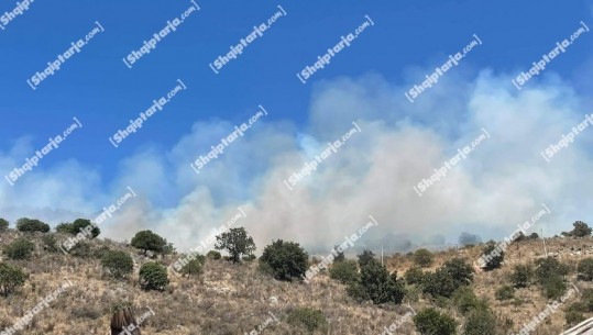 Ksamil/ Merr flakë një kodër pranë plazhit në Gjirin e Hartës! Digjen shkurre e pemë