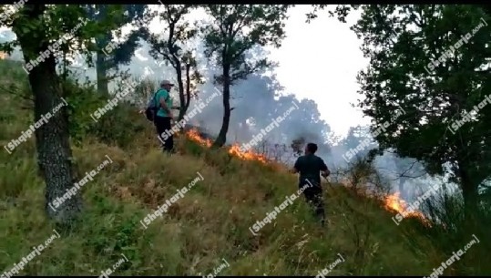 'Ikni, ikni se ju erdhi në kokë', me mjete rrethanore duke shuar zjarrin, momenti kur zjarrfikësit paralajmërojnë njëri-tjetrin për afrimin e flakëve (VIDEO)