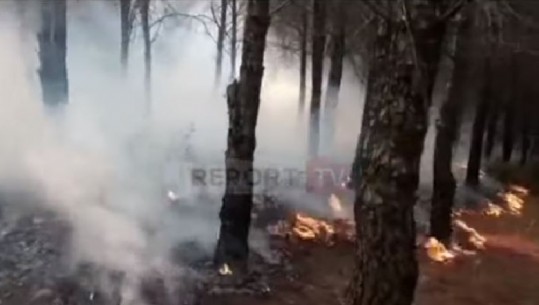 Vihen nën kontroll zjarret në Kreshpan dhe në fshatin Vjosë të Fierit, digje rreth 40 ha me bimësi