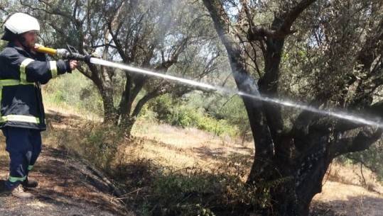 2 vatra zjarri në Durrës, po punohet për t'i shuar, nuk ka banesa të rrezikuara