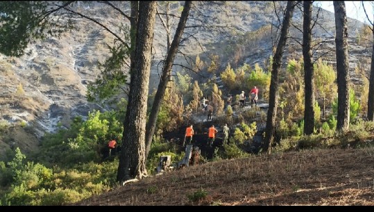 10 hektarë pyje të djegura, shuhen përfundimisht vatrat e zjarrit në Përmet