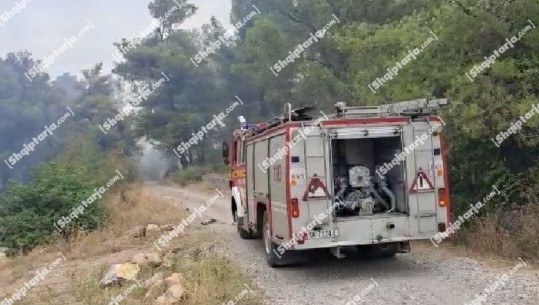 Zjarret në Shkodër, neutralizohen flakët në Malin e Taraboshit, shuhen të gjitha vatrat në Fushë-Arrës e Cukal! U rrezikua edhe Parku Kombëtar i Thethit, por situata u vu nën kontroll