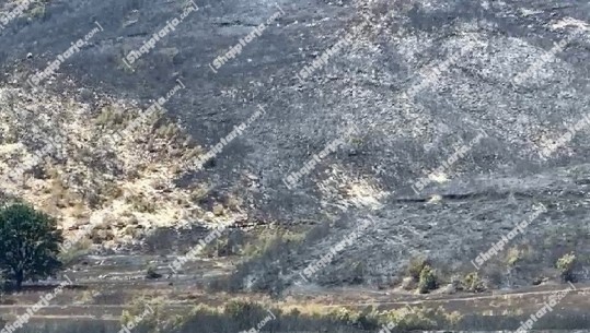 Toka e nxirë nga hiri, ja çfarë lanë pas flakët që 'përpinë' fshatin Gjormë