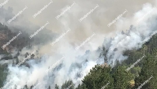 Zjarret në Kukës, operacionet kundër flakëve rinisin nesër! Sipër tunelit të Kalimashit ka një vatër që rrezikon të përhapet