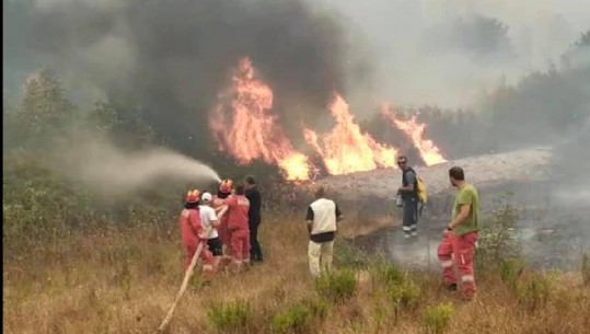 I vuri flakën një sipërfaqe me kallamishte në Spitallë, arrestohet 49-vjeçari