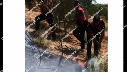 Fiket zjarri në Fier, zjarrfikësit nuk i dorëzohen terrenit të vështirë dhe flakëve