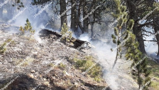 Izolohet një vatër zjarri në majën e Gjallicës në Kukës