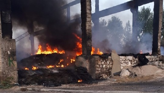 Djegia e gomave/ Katastrofa ekologjike në Fushë Krujë, Agjencia Kombëtare e Mjedisit e ka jashtë kontrollit situatën