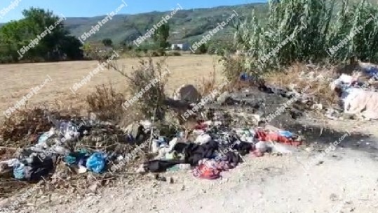 Lagja periferike në Berat nën ‘pushtetin’ e plehrave, banorët e revoltuar fajësojnë komunitetin Rom për gjendjen dhe ngrenë alarm: Bashkia të marrë masa