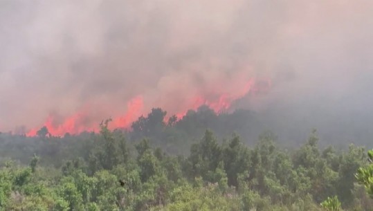 Bilanci/ Flakët në Karaburun shkrumbuan 4800 ha kullota e 12 ha pyje! Në Lezhë u dogjën 400 ha pyje! Shumica e zjarreve, të qëllimshëm