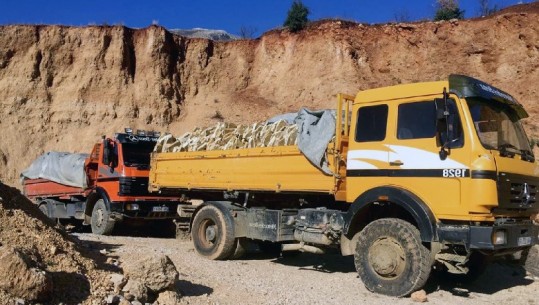 Berat/ Transportonin pllaka dekorative në mënyrë të paligjshme nga Mali i Tomorrit, vihen nën hetim 2 qytetarë