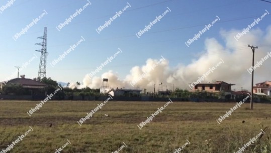 Emergjencë mjedisore në Lushnjë, përfshihet nga flakët fusha e mbetjeve! Tymi dhe era e rëndë 'pushtojnë' zonën, dyshohet zjarrvënie e qëllimshme