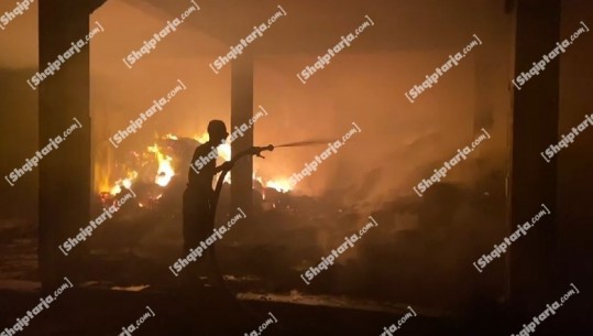 VIDEO/ Digjet qëllimisht godina e ish firmës piramidale Gjallica në Vlorë, zjarrfikësit shkojnë të shuajnë flakët pa masat mbrojtëse 