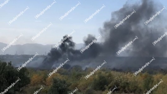 ‘Tymi’ mbulon fshatin Narte në Vlorë, marrin flakë ullinj dhe shkurre, era e favorizon! Nuk rrezikohen banesa 