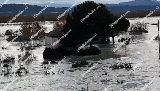 VIDEO/ Lumi Vjosa del nga shtrati, shtëpitë në Fitore të Vlorës të zhytura nën ujë