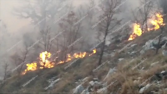 Zjarr i qëllimshëm në pyjet Llogorasë, flakët 'kaplojnë' bimësinë e zonës, favorizohen nga terreni i vështirë dhe era