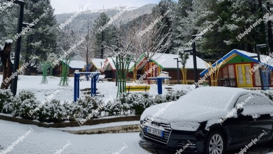 Zbardhet Llogaraja, trashësia e dëborës arrin deri në 20 cm  (VIDEO)