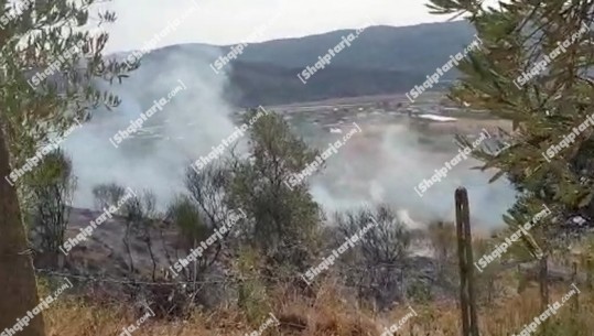  Zjarr në fshatin Virion në Berat, digjen 4 ha me dru frutore! Terreni i vështirë, zjarrfikësit punojnë me mjete rrethanore